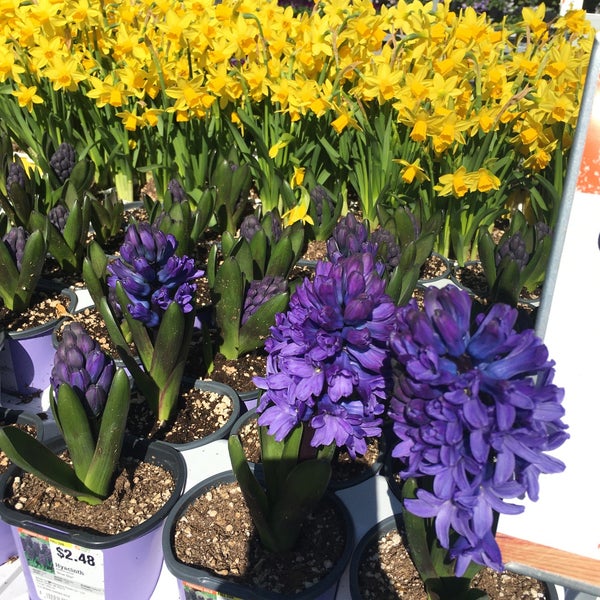 Photos At The Home Depot Hardware Store In Ballwin