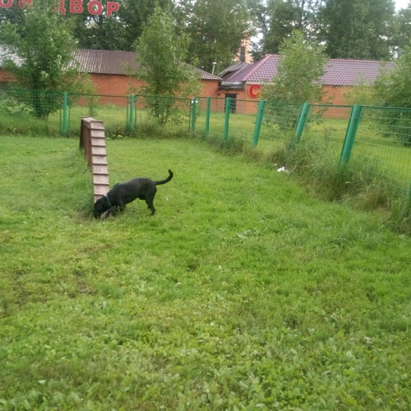 Новогиреевский пруд