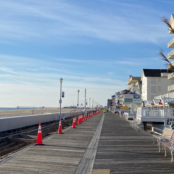 Are Dogs Allowed On Ocean City Maryland Boardwalk