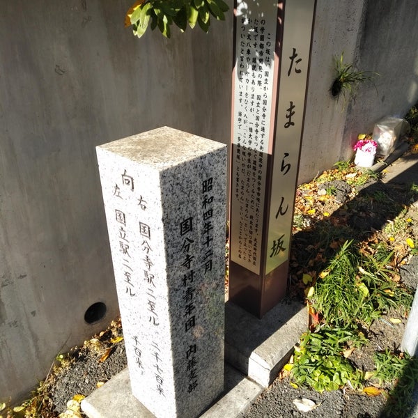 Photos At 多摩蘭坂 Road In 国立市