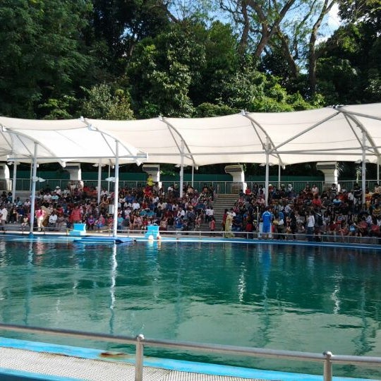 Photo taken at Underwater World And Dolphin Lagoon by A Rizal N. on 1/26/2013
