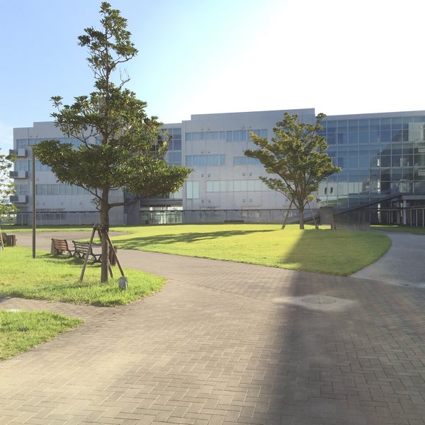 神戸 国際 大学