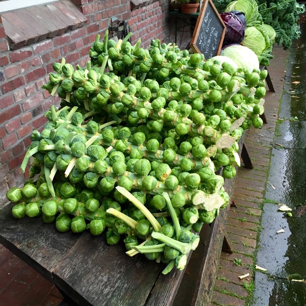 Gut Heimendahl Kempen Nordrhein Westfalen
