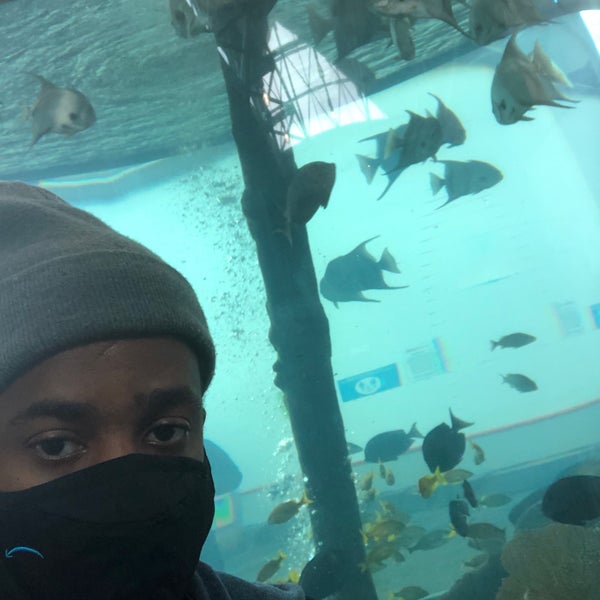 1/8/2021에 Donovan F.님이 Ripley&#39;s Aquarium of the Smokies에서 찍은 사진