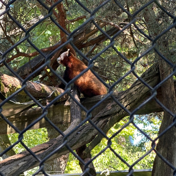 รูปภาพถ่ายที่ Woodland Park Zoo โดย Conor M. เมื่อ 8/3/2023