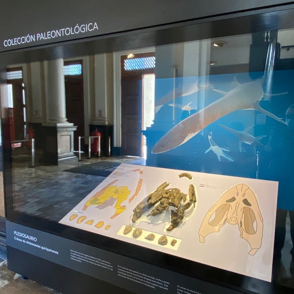 4/13/2022 tarihinde Conor M.ziyaretçi tarafından Museo Nacional de Historia Natural'de çekilen fotoğraf