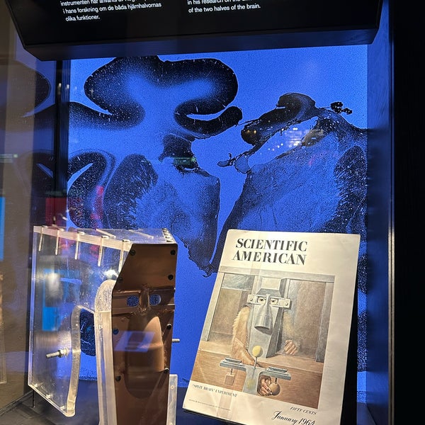 Снимок сделан в Nobel Museum пользователем Conor M. 6/27/2023