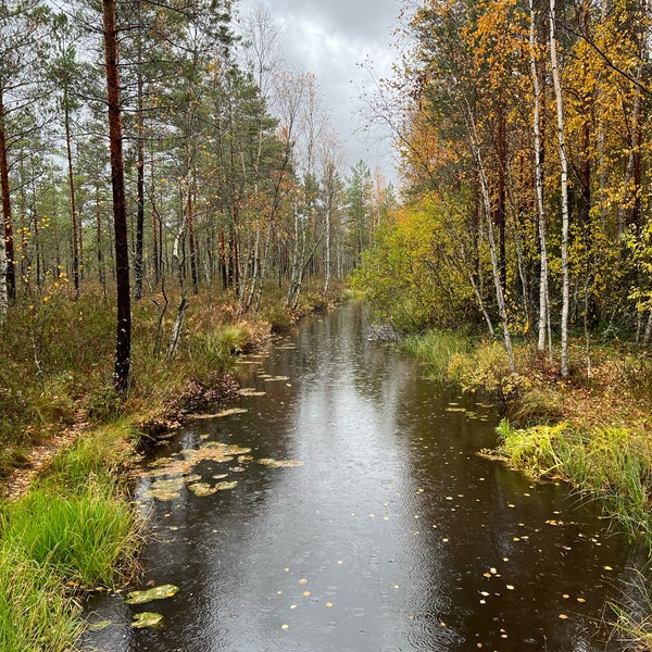 Photo taken at Kurjenrahka National Park by Jussi on 10/8/2022