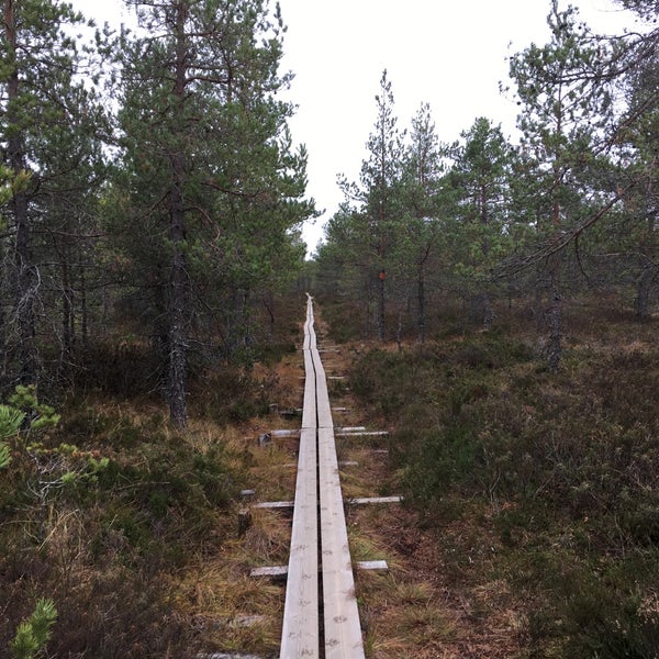 Photo taken at Kurjenrahka National Park by Jussi on 10/22/2016