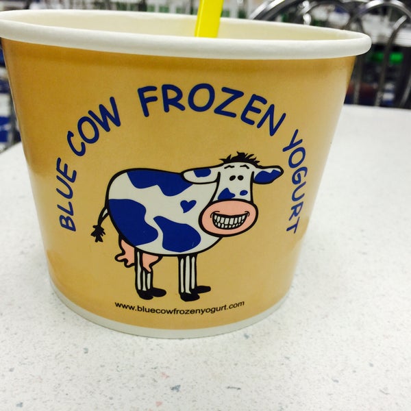 Blue Cow Frozen Yogurt Dessert Shop