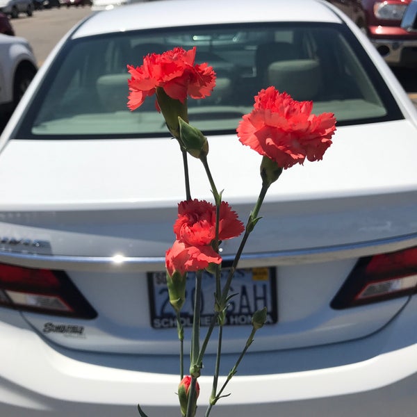 Dillons Flowers Topeka Best Flower Site