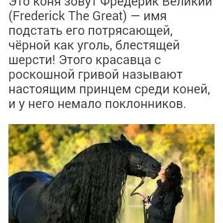 Истра Хорс фарм