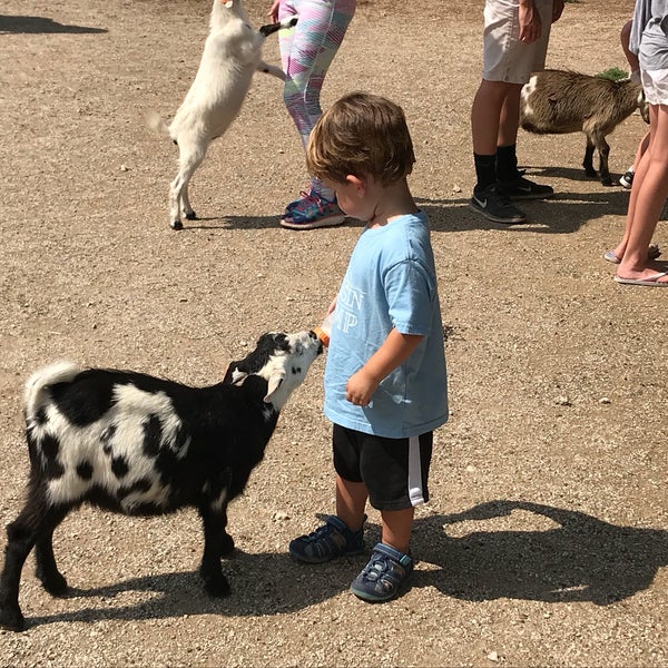 7/6/2018にShannon H.がDeanna Rose Children&#39;s Farmsteadで撮った写真