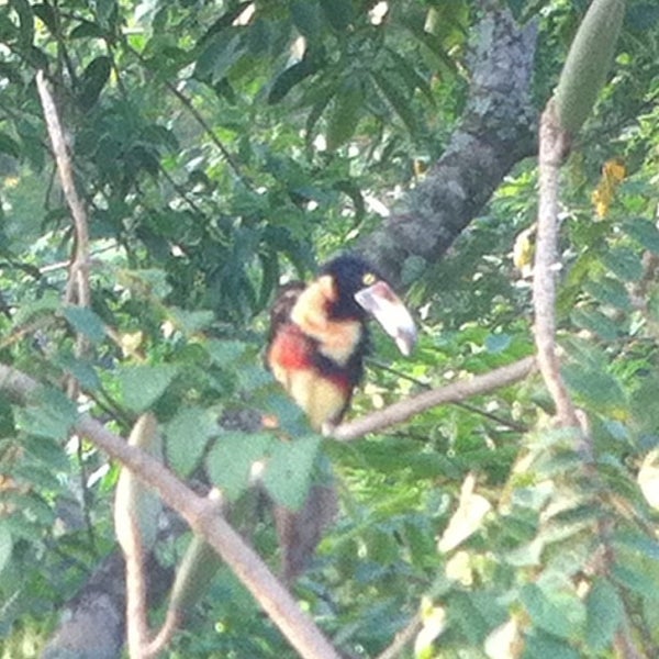 Foto tomada en The Lodge at Pico Bonito  por Nellie H. el 4/23/2013