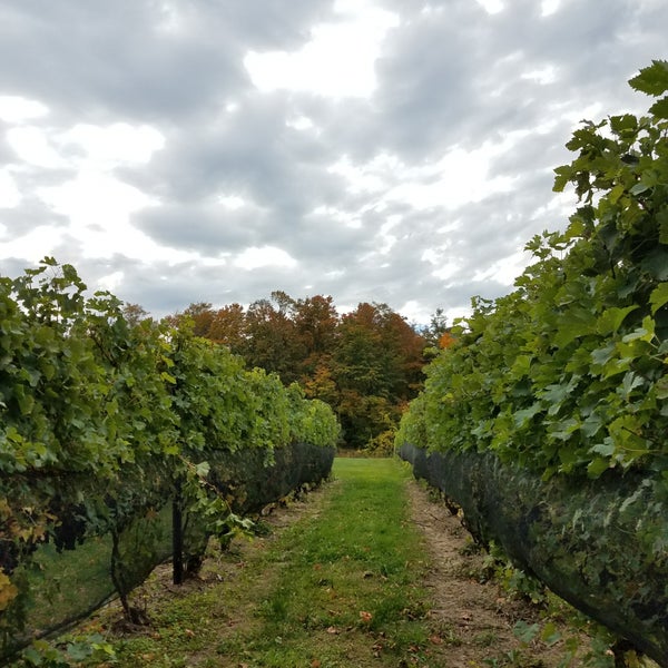 Photo taken at Bowers Harbor Vineyards by Kate Z. on 10/21/2017