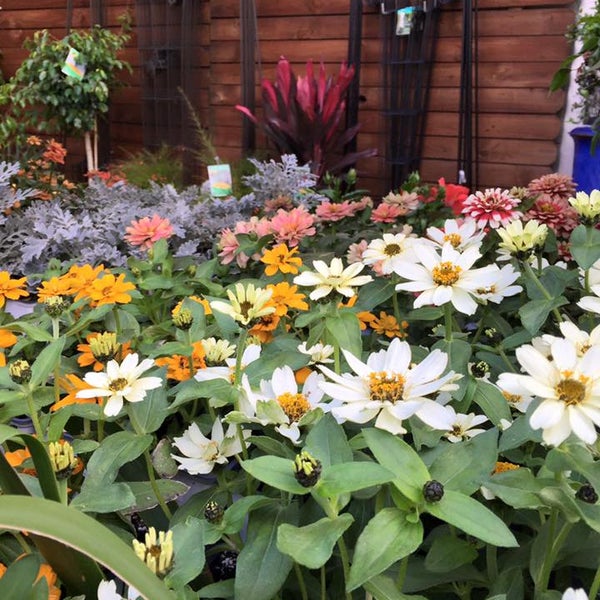 Ace Hardware Hardware Store in Fort Worth