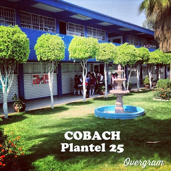 Colegio de Bachilleres Plantel Núm. 25 1 tip de 24 visitantes Colegio de Bachilleres Plantel Núm. 25 1 tip de 24 visitantes