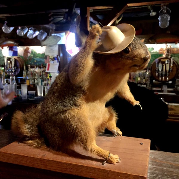One of the best dines in the Northwest burbs! This wilderness lodge eatery is full of quirky taxidermied animals. The pizza isn't the only thing stuffed, Look for the squirrel enjoying an Old Style.