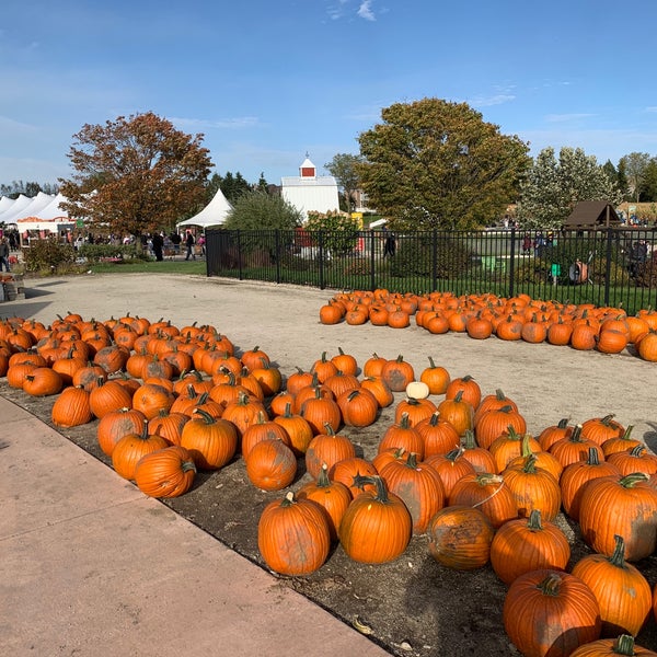 A fun fall themed destination, definitely have an excellent selection of pumpkins, squash & Indian corn to take home, along with other fall theme yard decor. Prices for attractions are a tad steep.