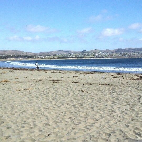 Photos At Doran Beach Campground 4 Tips From 100 Visitors Photos At Doran Beach Campground 4 Tips From 100 Visitors
