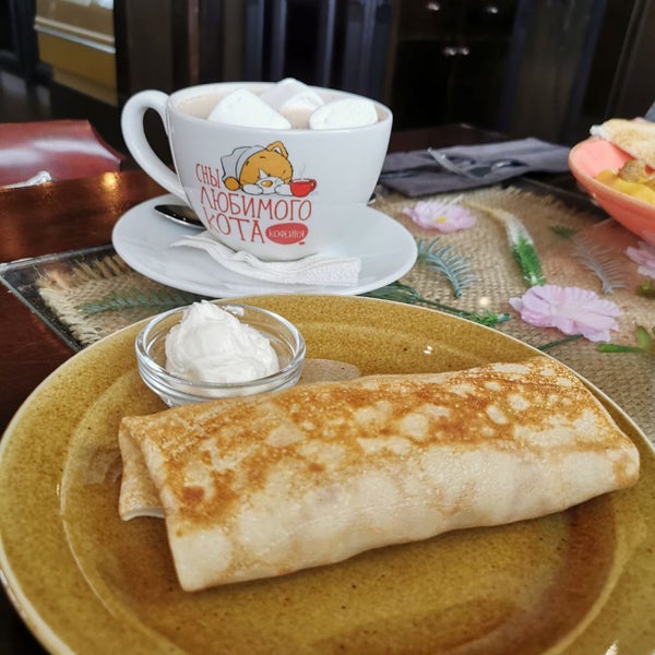 Сны любимого кота калуга