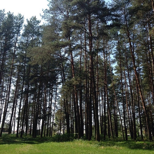 Жуковка нижегородская область. Жуковка нижегородская область. Деревня одинцы нижегородская область. Деревня жуковка мордовия. Деревня жуковка владимирская область.