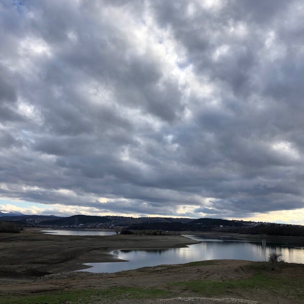 Улица плотинная симферополь. Симферопольское водохранилище лошадь фото.