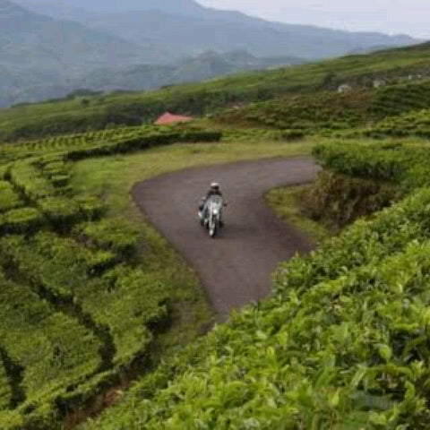 Photos At Pemandian Air Panas Ciater Cilandak Subang