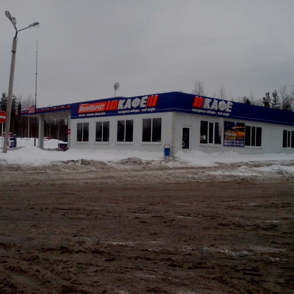 Прогаси палма 250. Пальма каламус. Притчардия пацифика. Палма кеми. Пальма мориче.