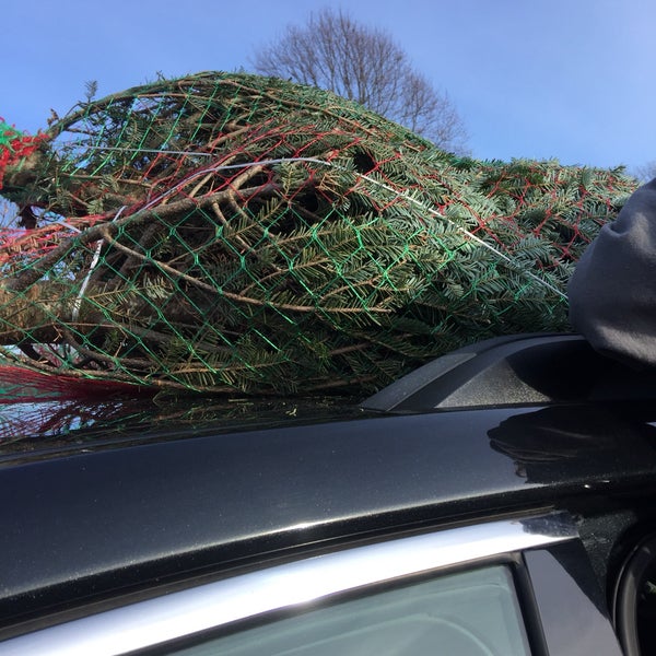 Photos At Mahoney S Garden Center 958 E Falmouth Hwy