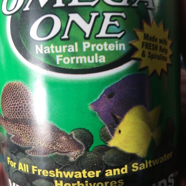 algae wafers petsmart