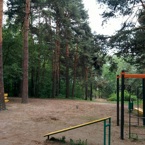 Леса и спортзалы