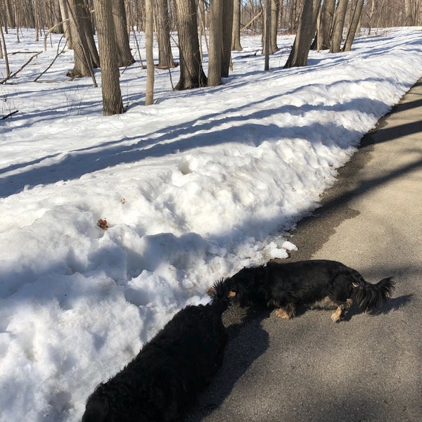 Greenfield Park Pavilion 2 tips