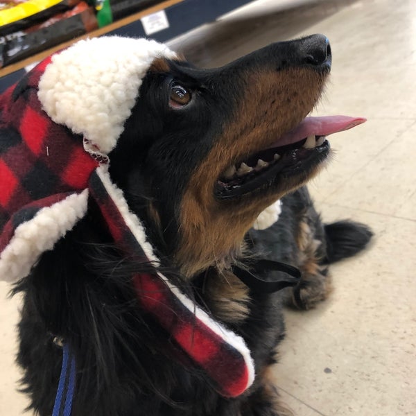 Pet World Warehouse Pet Supplies Store in West Allis