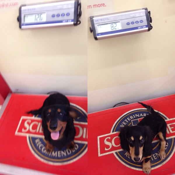 Photos at Pet World Warehouse Pet Store in West Allis