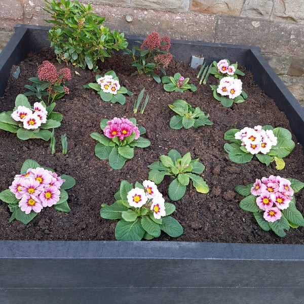 Home Bargains Cardiff City Centre 5157 Albany Rd.