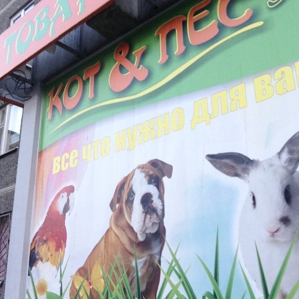 Магазин кот и пес. Магазин кот и пес
