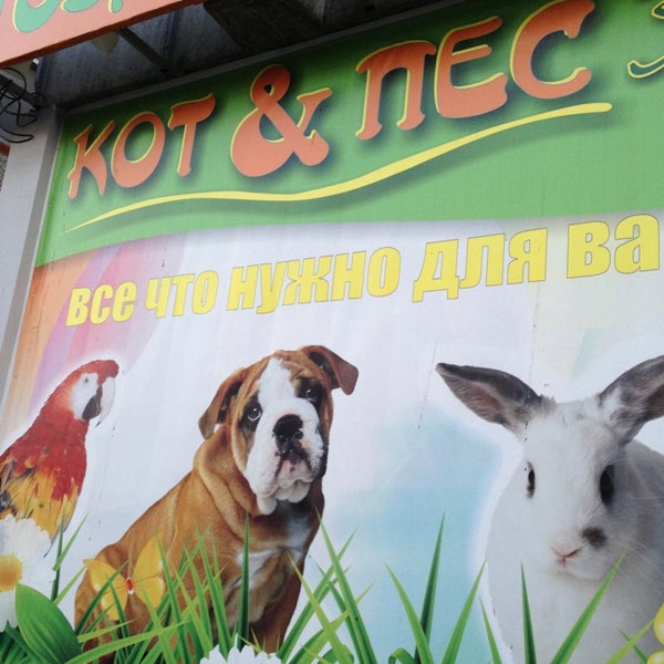 Магазин кот и пес. Кот и пес магазин. кот и пес магазин зоотоваров чебоксары. кот и собака в магазине. кот и пес магазин зоотоваров автозаводская.