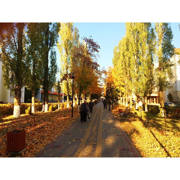 Нововоронеж площадь ленина