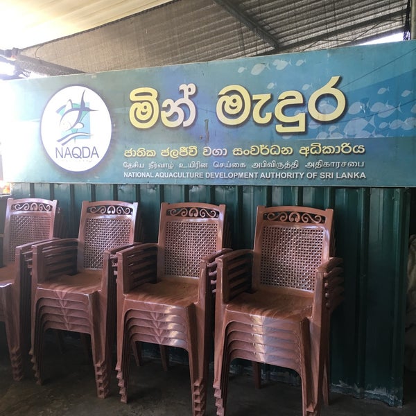 National Aquaculture Development Authority Of Sri Lanka Aquarium in