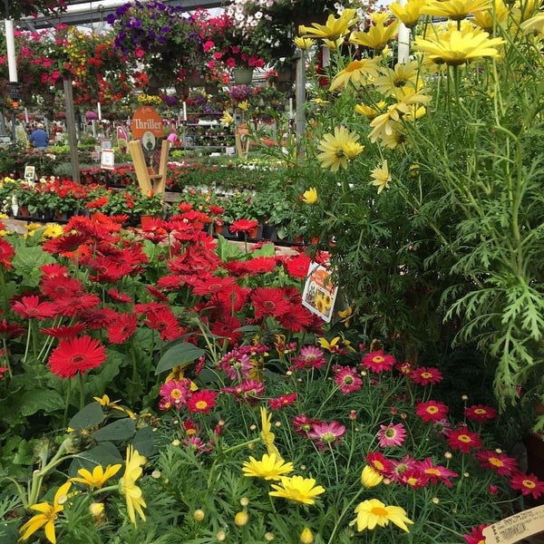Photos At Petitti Garden Center 6 Tips