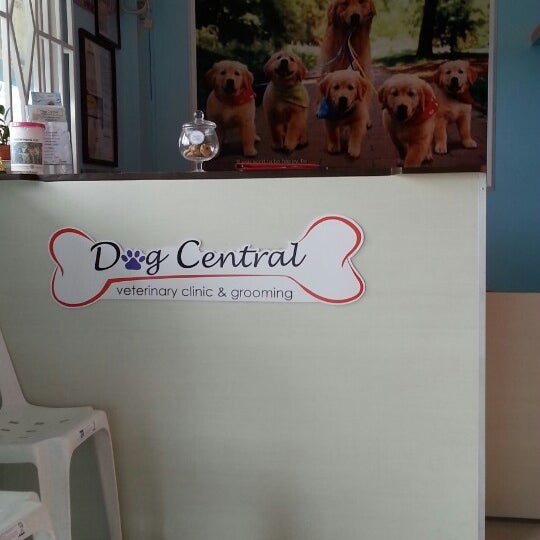 Central pet clinic 2025