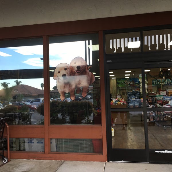 Kahoots Pet Store 2 tips