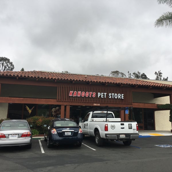 Kahoots Pet Store 2 tips