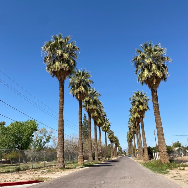 Das Foto wurde bei The Plant Stand of Arizona von Christina H. am 3/18/2022 aufgenommen