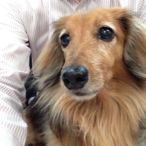 湘南台セントラル動物病院