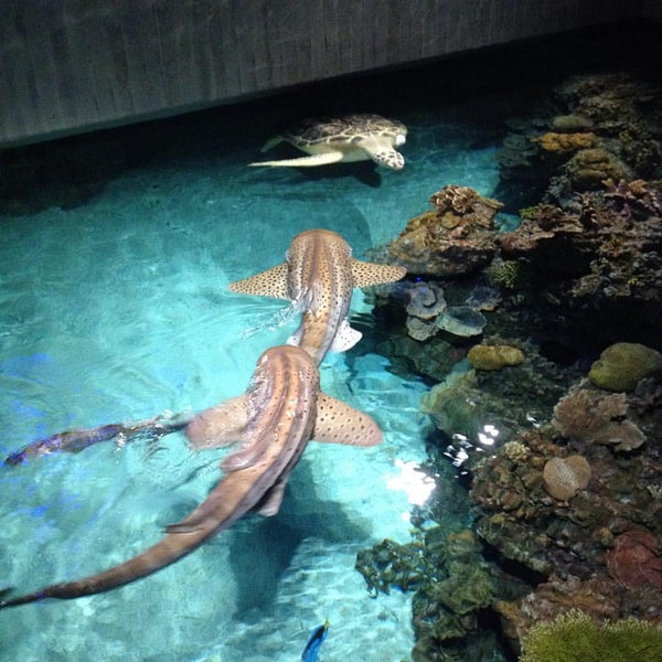 Foto tirada no(a) National Aquarium por Ekaterina B. em 9/7/2015