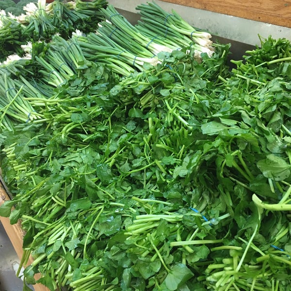 Good Fortune Supermarket Grocery Store in Quincy Point