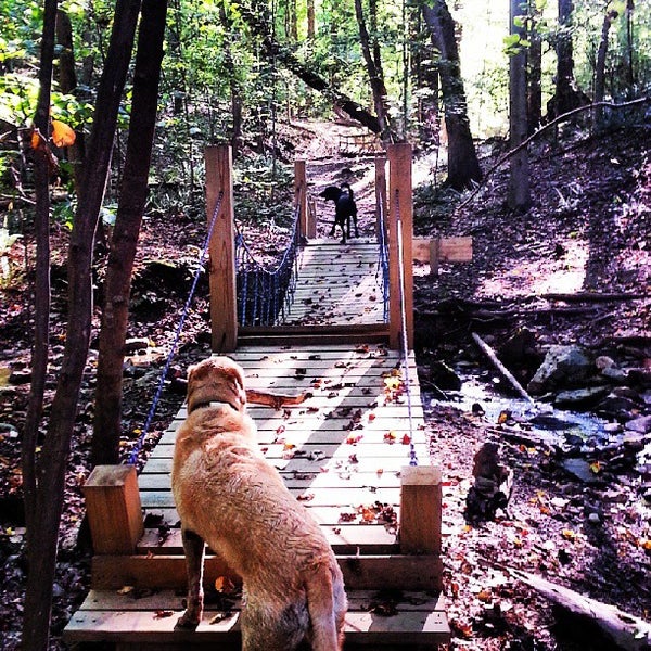 Camp Dancing Bear Campground