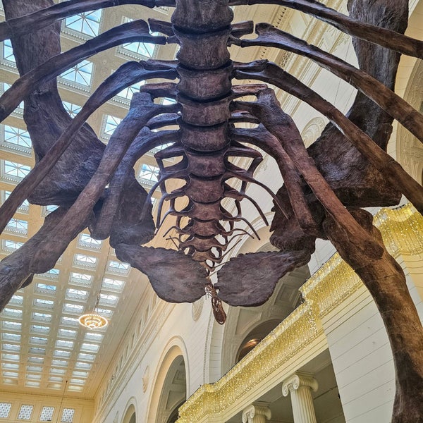 Photo taken at The Field Museum by Jt T. on 12/28/2023